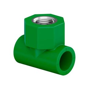 te-rosca-central-femea-ppr-tigre