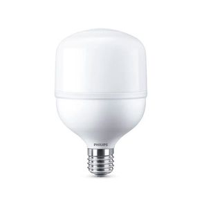 lampada-high-led-bulbo-trueforce-e40-philips-6500k_01 lampada-high-led-bulbo-trueforce-e40-philips-6500k_01