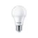 lampada-de-led-bulbo-e27-philips-6500k