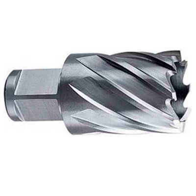 broca-anular-weldon-dewalt