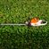 podador-a-bateria-36v-stihl-hsa-50-com-carregador-e-bateria_04
